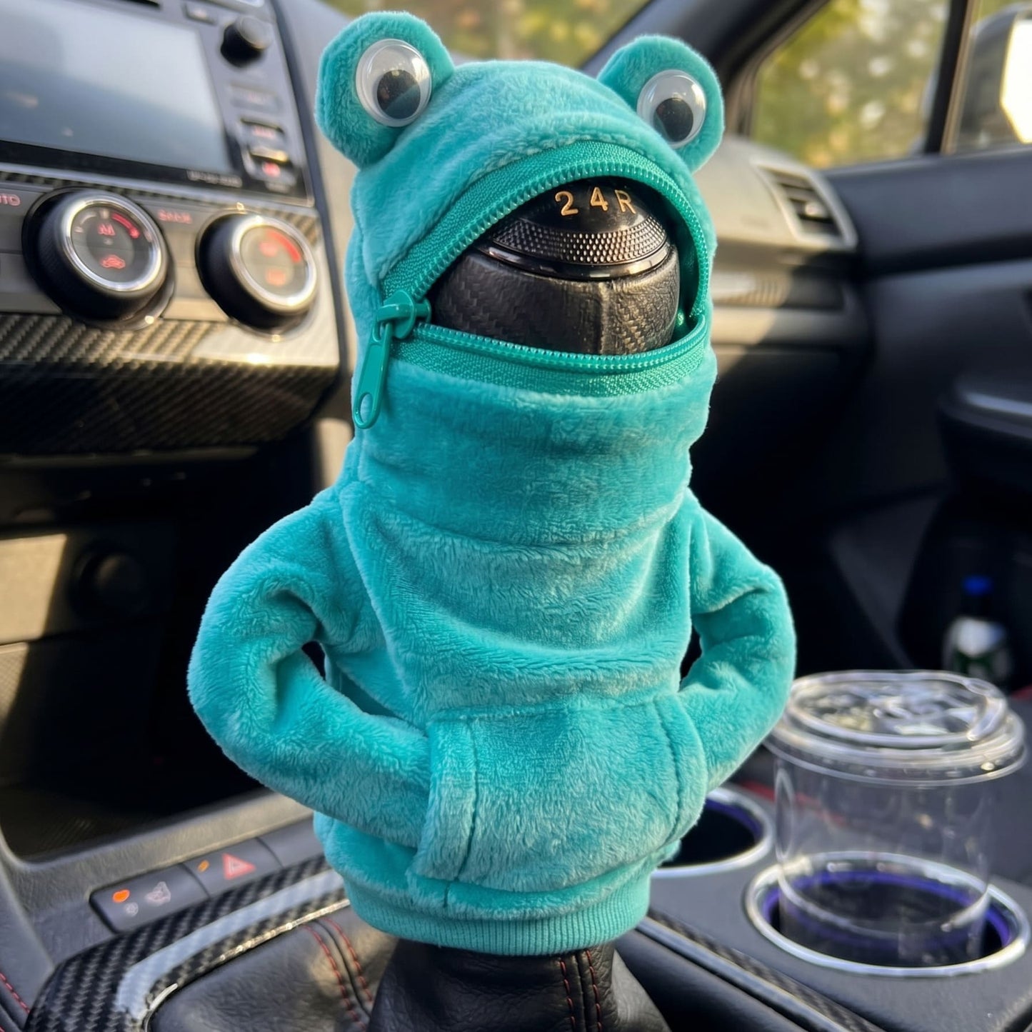 Frog Shifter