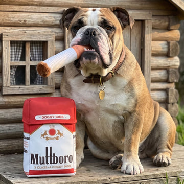 Doggy Cigarettes