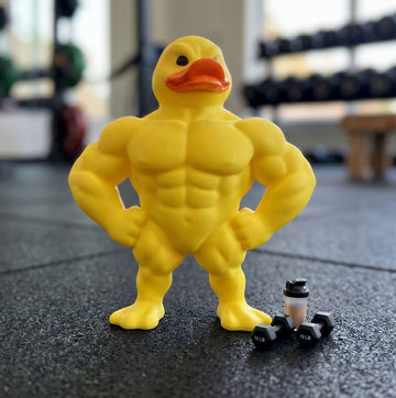 Muscle Duck