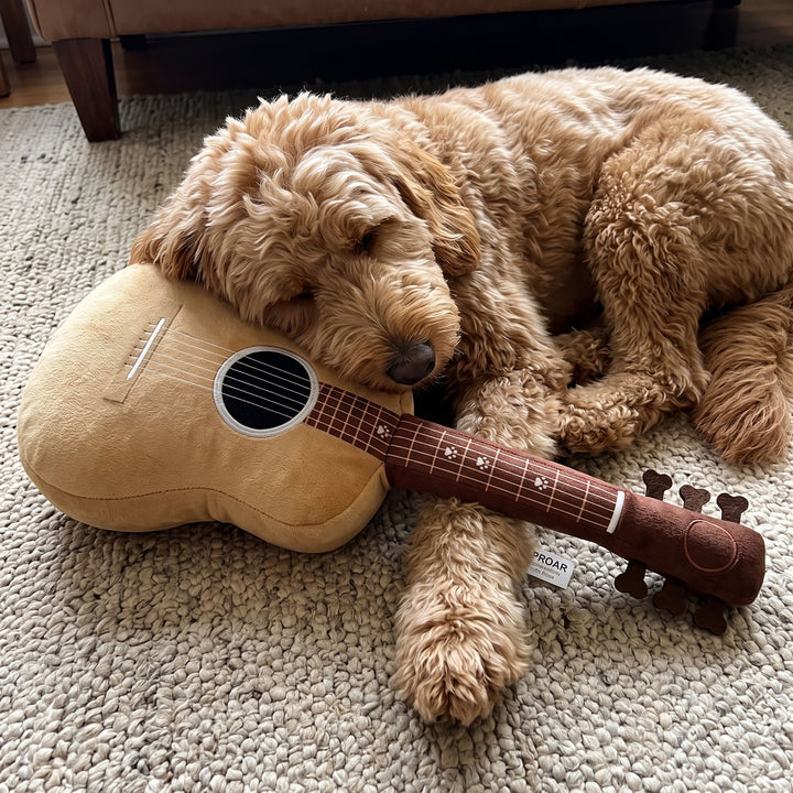 Dog Guitar