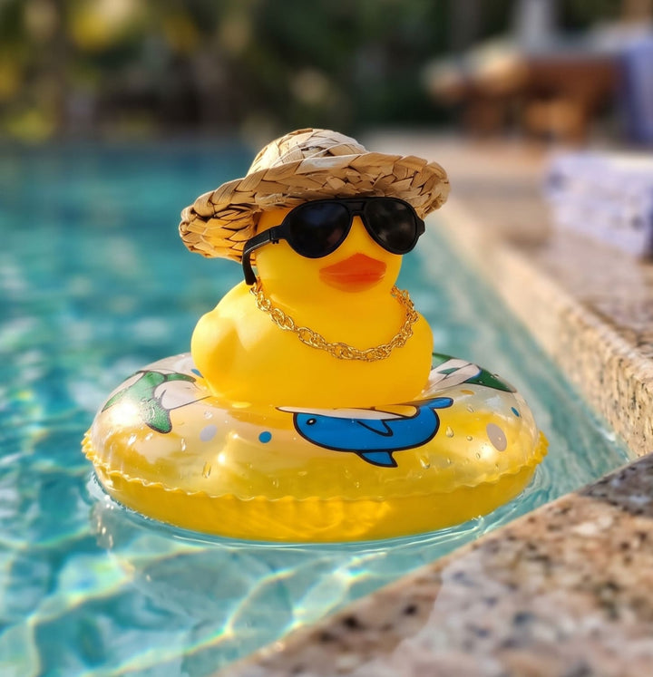 Pool Duck