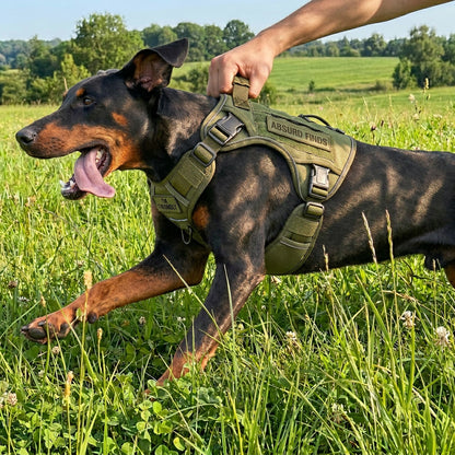Tactical Harnesses