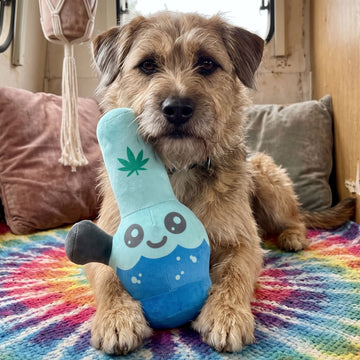 Dog Bong