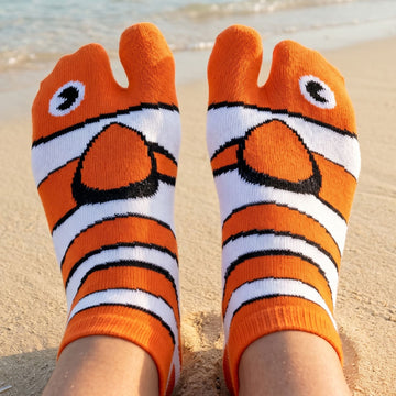 Clownfish Socks