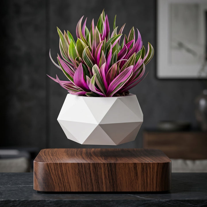 Levitating Pot