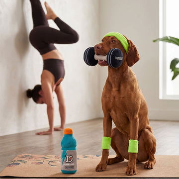 Pup Dumbbell